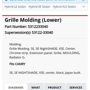 Grille Molding (lower)